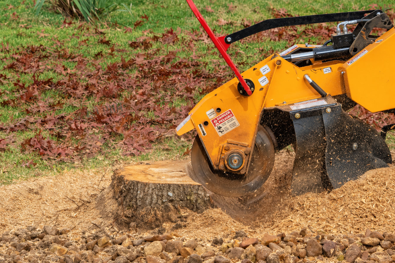 Stump removal in Aliso Viejo, CA